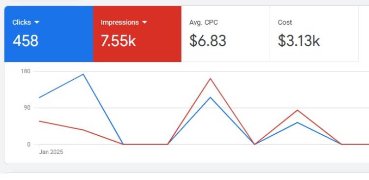 Meta Ads Case Study 2 | The Vital Media