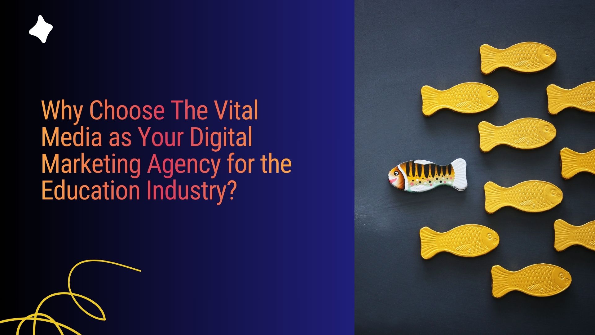 Why Choose The Vital Media as Your Digital Marketing Agency for the Education Industry | The Vital Media