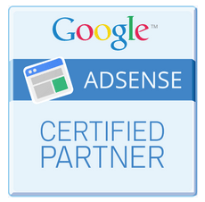 Google Partner Badge | The Vital Media